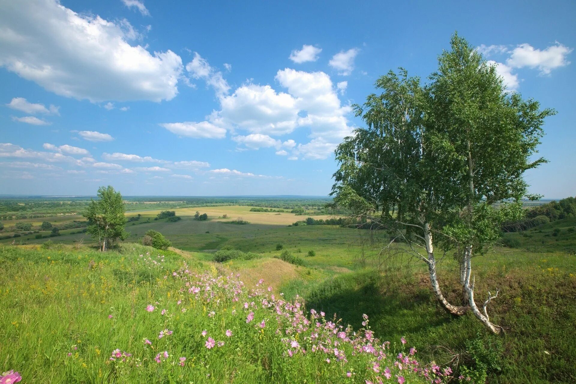 Родной край связь. Просторы Чувашии. Чувашская Республика природа. Республика Чувашия природа. Родная природа Чувашии.