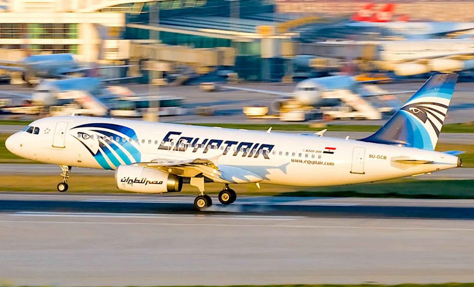 Egyptair отзывы. Самолет EGYPTAIR. Египт АИР самолеты. Рейс 804 Egypt Air. Самолет Egypt Air 804.