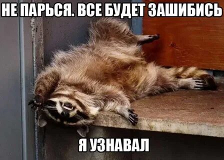 Не парит