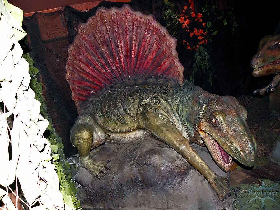 планета динозавров александровский парк 4 санкт петербург. планетарий спб выставка динозавров. выставка движущихся гигантов планета динозавров. музей планета динозавров в санкт-петербурге. планета динозавров спб горьковская.