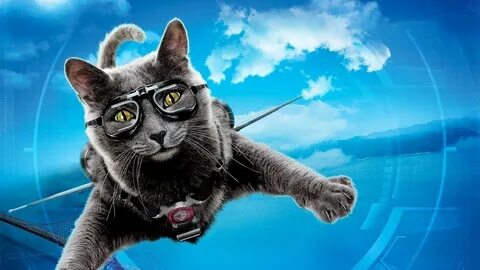 Коте шпион