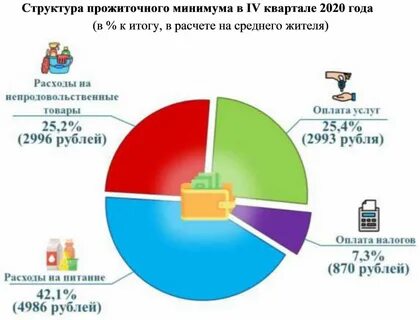 Прожиточный минимум в новосибирске на 2024