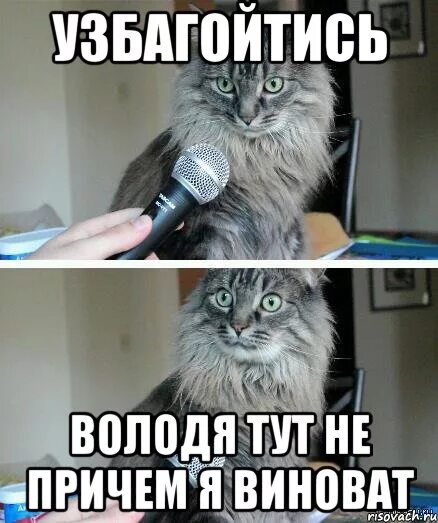 Здесь ни причем. Я тут картинки. я здесь не причем. да не виноват я. ты здесь не причем.