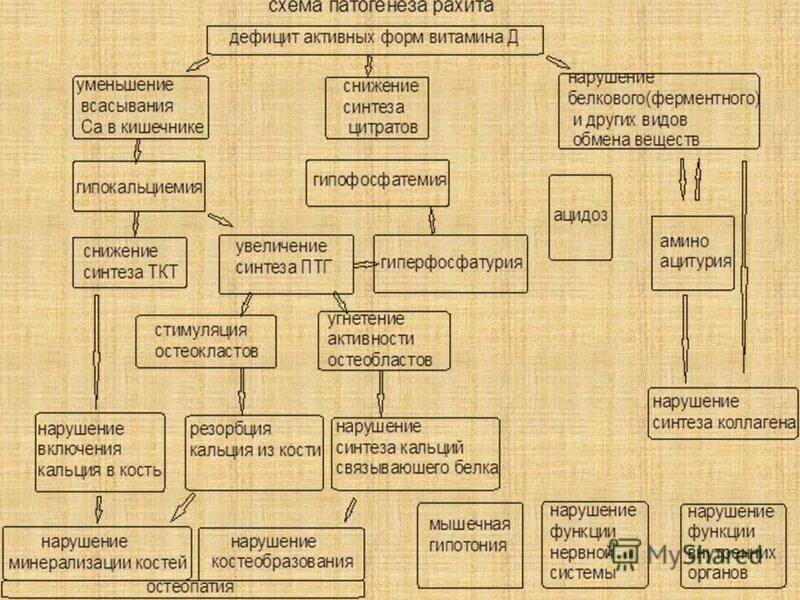 Лихорадка алгоритм диагностики. Педиатрия схемы. Педиатрия схемы. Педиатрия схемы. Патогенез витамин d дефицитного рахита.