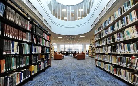 Library 13