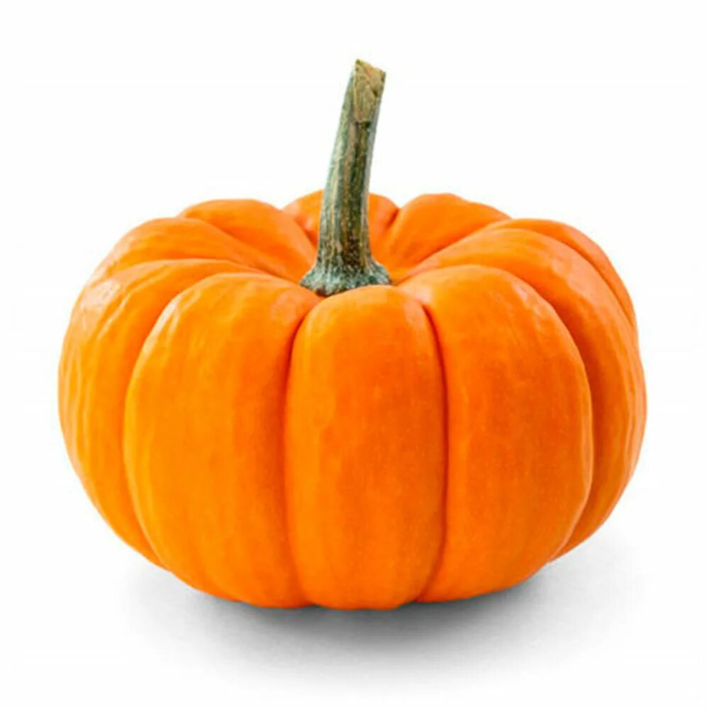 Тыква 3 кг. Тыква на белом фоне. Тыква крупноплодная хэллоуин. Тыква 700кг воскресенск. Огромная тыква.