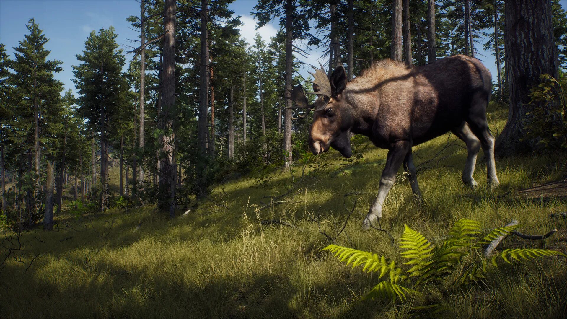 Way играть. Hunter игра. way of the hunter. путь охотника игра. way of the hunter 2025.
