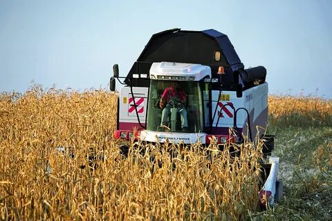 Комбайн торум 785