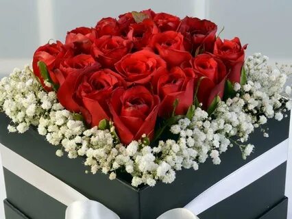 Чиройли Гулар (59 фото) | Романтические цветы, Красные розы, Белые розы