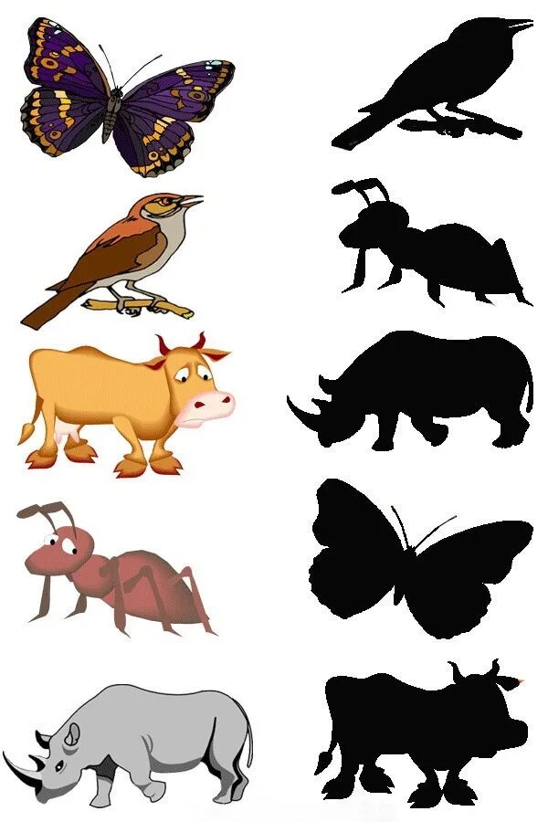 Чья тень домашние животные. Животные и их тени. Тени животных. Тени животных задание для детей. Теневое лото для малышей.