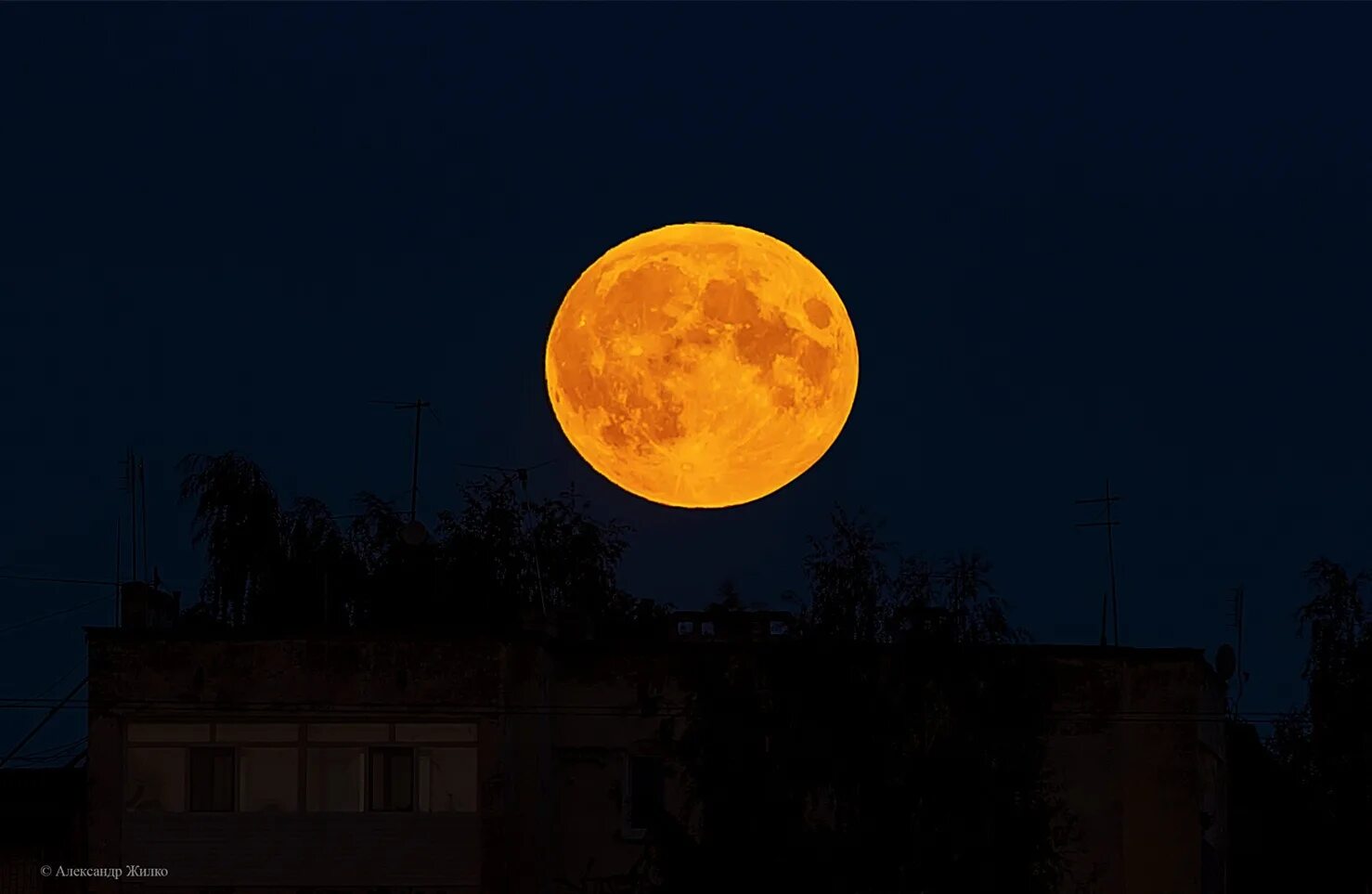Оранжевая Луна. Желтая Луна. Яркая Луна. Огромная оранжевая Луна.