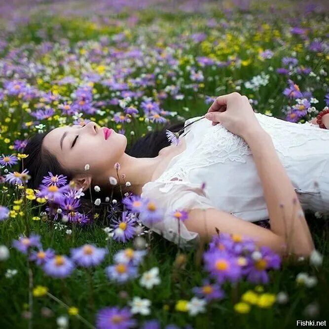Фотосессия в одуванчиках. Фотосессия в пшеничном поле. Девушка лежит на поле. Девушка лежит на поле. Девушка лежит на поле.