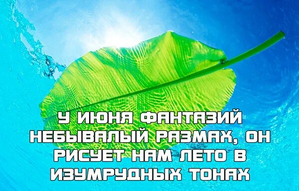 Высказывания про лето