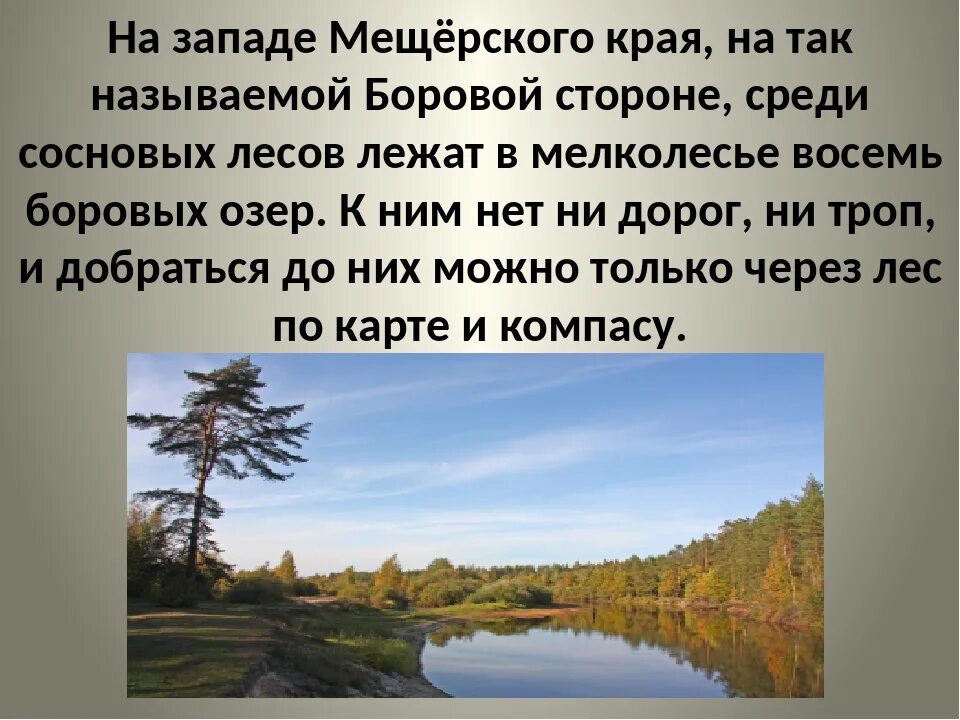 К г паустовский мещерская сторона. Мещера Константина Паустовского. Мещёра Паустовский. На западе Мещерского края. Мещёрская сторона Паустовский презентация.