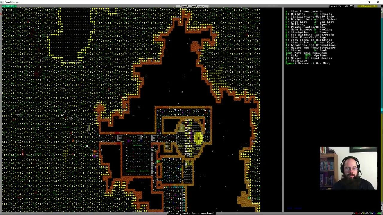 Dwarf fortress dfhack. Dwarf fortress планировка крепости. dwarf fortress геймплей. дварф фортресс 3. дварф фортресс геймплей.