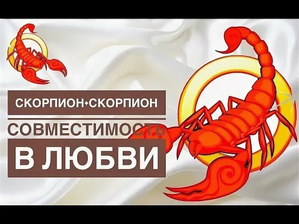 Скорпион скорпион совместимость форум. Мужчина Скорпион в любви. Любовь скорпиона. Женщина Скорпион. Скорпион мужчина и женщина.