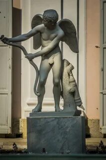 Амур спб