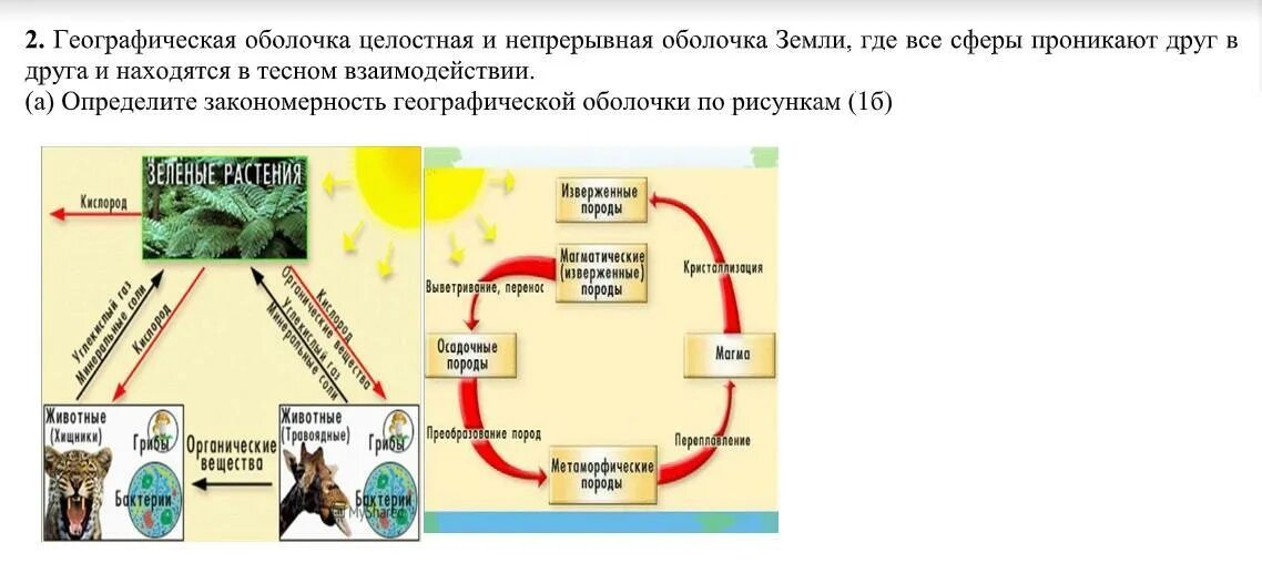 Закономерности географической оболочки. Целостная географическая оболочка. Закономерности функционирования географической оболочки.. Определите закономерность географической оболочки по рисункам. Географическая оболочка характеризуется определенными