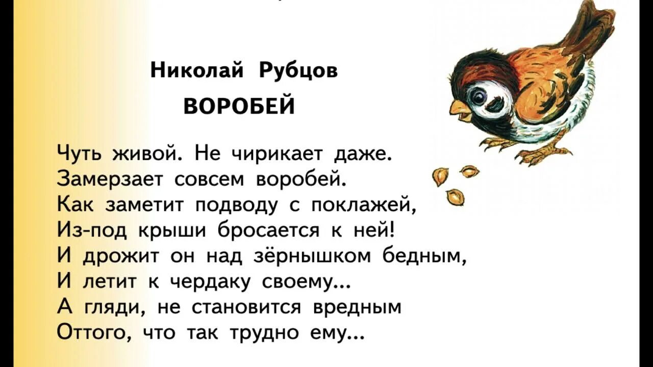 Воробушек рассказ ждановны глава 40. Н рубцов Воробей. Стихотворение Рубцова Воробей.