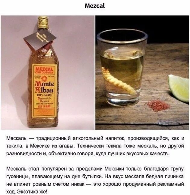 Чем отличается мескаль от текилы. Мексиканский алкогольный напиток мескаль. мескаль хуанито. алкогольный напиток мескаль мескаль. текила мескаль с гусеницей.