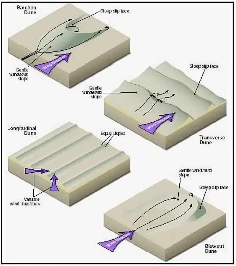 Wind types