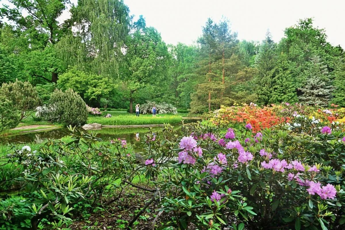 Это сад он. Кто сад радигян. Партерный парк петергоф. Боскеты версаля. Топиарная живая изгородь.