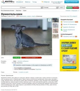 Авито бесплатные объявления нижний новгород