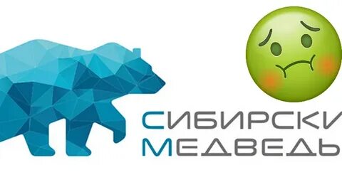 Провайдер сибирский медведь