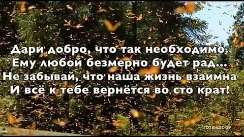 100 вернется