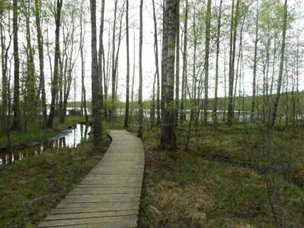 Поселок зеркальный