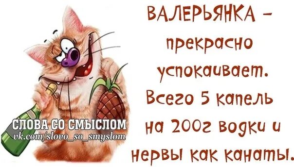 Что лучше валерьянки для успокоения. Шутки про валерьянку. Валерьянки рисунок шуточный. Смешные рисунки валерьянка. Валерьянка прикол.