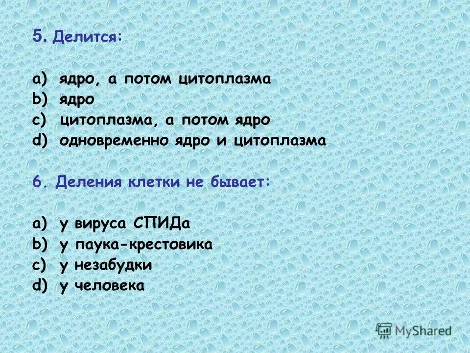 Митоз амитоз клеточное деление. Ядро делится. Температура ядра. Ядерные реакции деление тяжелых ядер. Амитоз прямое деление клетки путем перетяжки.