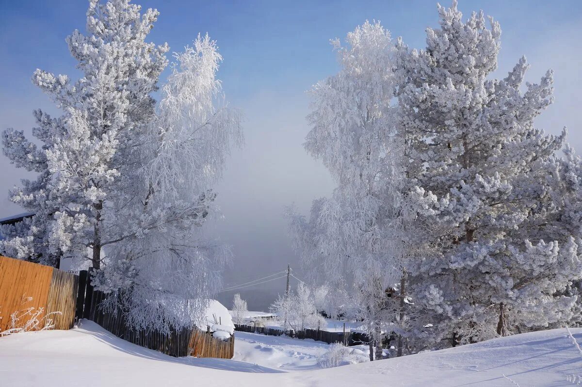 Зимний лес поселок чунский. Красивая зима в деревне. П зима. Природа зима. Зима в деревне.