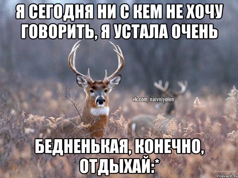 Скажи устал. Не отвечает на звонки. Читает но не отвечает на сообщения. Если человек не отвечает на звонки. Парень не отвечает на звонки.