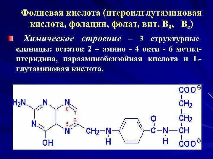 Показания фолиевой кислоты