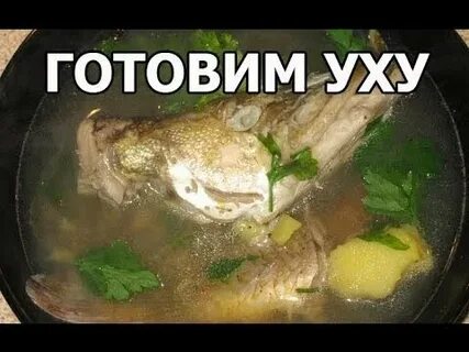 Уха картинки смешные
