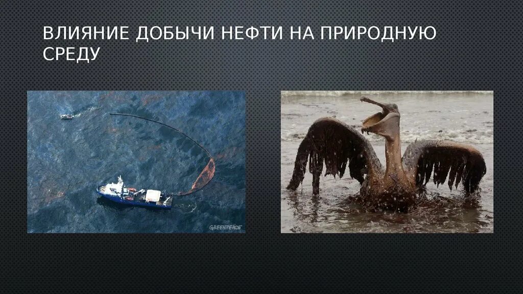 Влияние нефти на природу. Влияние нефтепродуктов на окружающую среду. Добыча нефти влияние. Влияние нефтедобычи на окружающую среду.