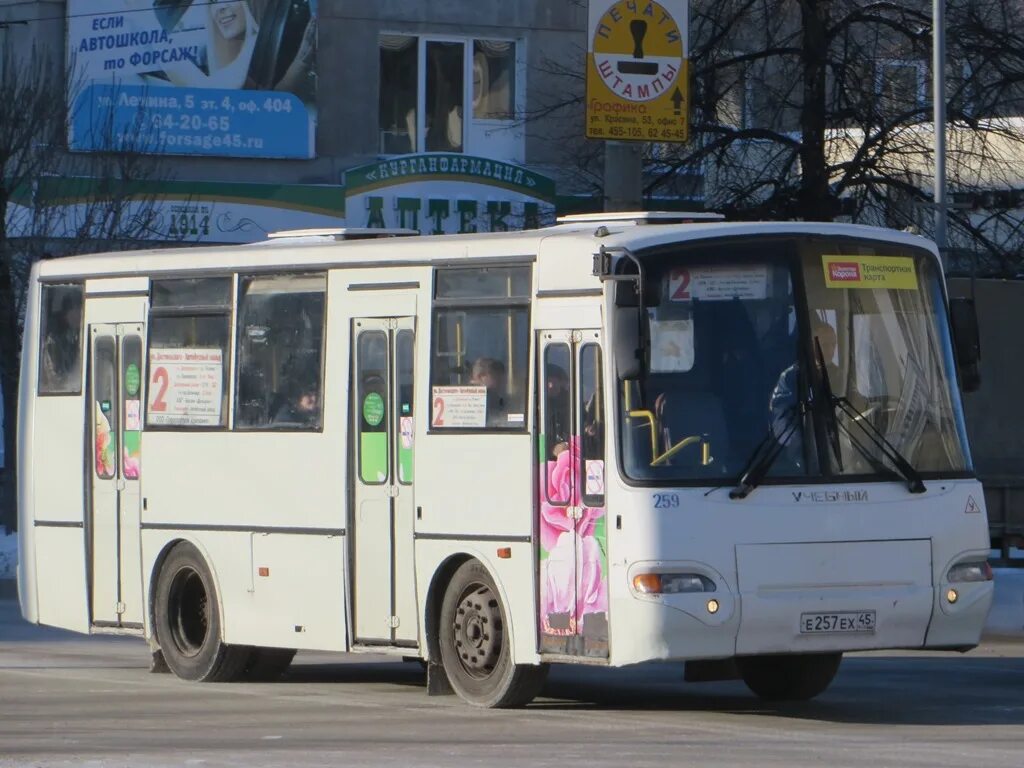 65 автобус курган. Курганские автобусы. Автобусы Курган. ПАЗ 4230 Кемерово. Новые автобусы в Кургане.