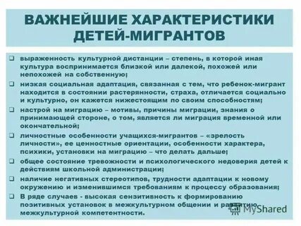 Стратегия адаптации ребенка мигранта является наиболее ресурсной