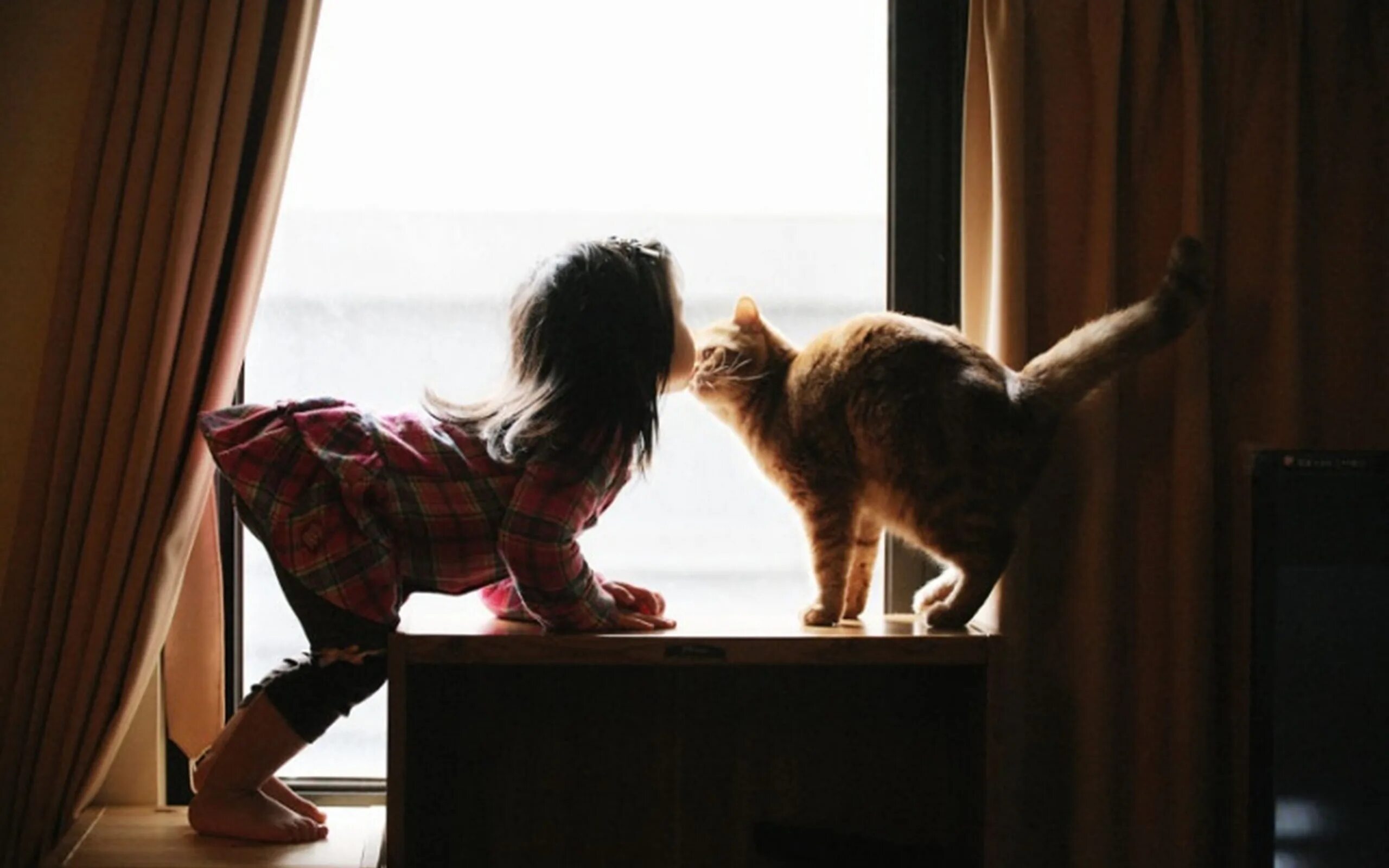 Котенок играет малыша. Девушка с котом на подоконнике. Девочка с котом. Девушка кошка. Фотосессия с кошкой.