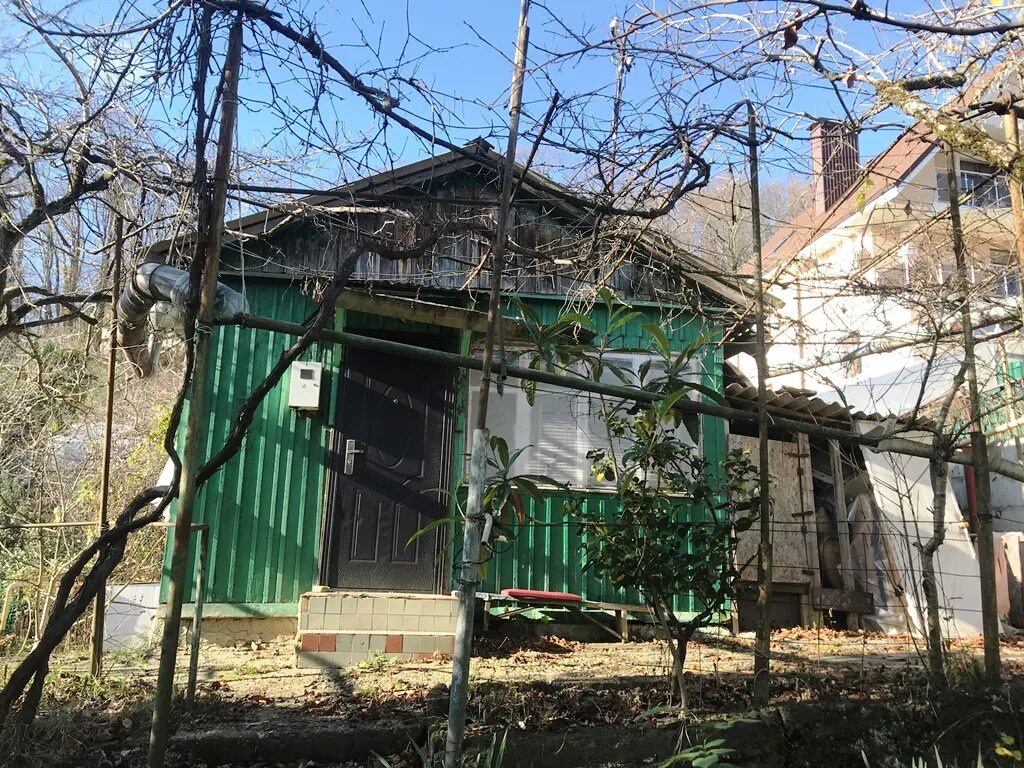 дача в сочи продается. дача под сочи. дача якобсона светлана сочи. сочи лесное дача. дачный дом в сочи.