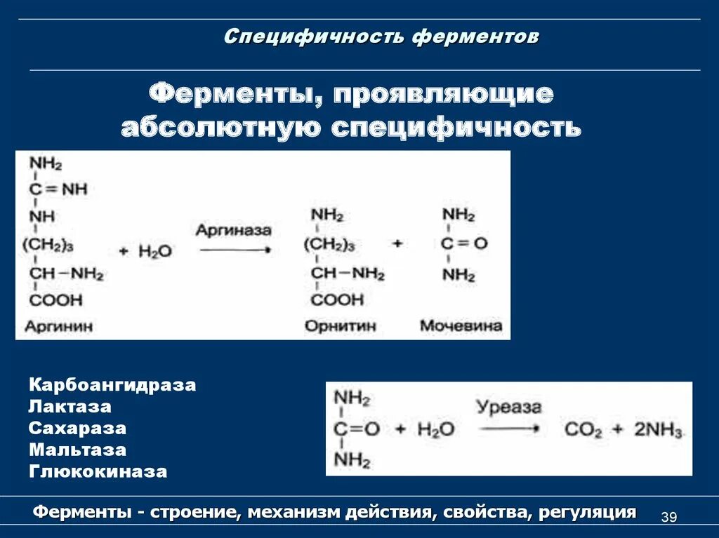 Абсолютная субстратная специфичность. Специфичность ферментов. относительная специфичность ферментов примеры. абсолютная и относительная специфичность действия ферментов. фермент с абсолютной субстратной специфичностью.