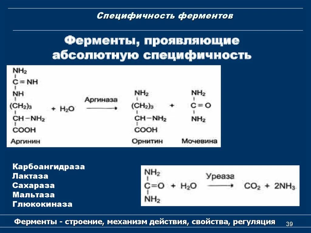 Групповая специфичность. Специфичность ферментов. Специфичность действия ферментов. Абсолютная и Относительная специфичность действия ферментов. Абсолютная Субстратная специфичность фермента.