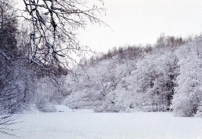 Вяземский снег. Вяземский первый снег. Иллюстрация к стихотворению первый снег Вяземский. Первый снег Вяземский картина.