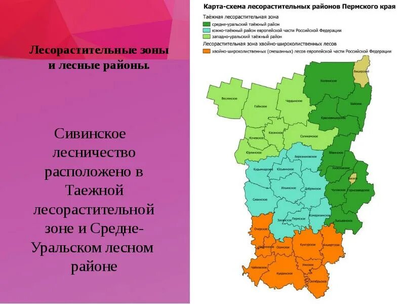 В какой зоне расположена свердловская область. Карта лесных районов Пермского края. Природные зоны Пермского края карта. Карта-схема лесорастительных районов Пермского края. Карта Пермского края с районами.