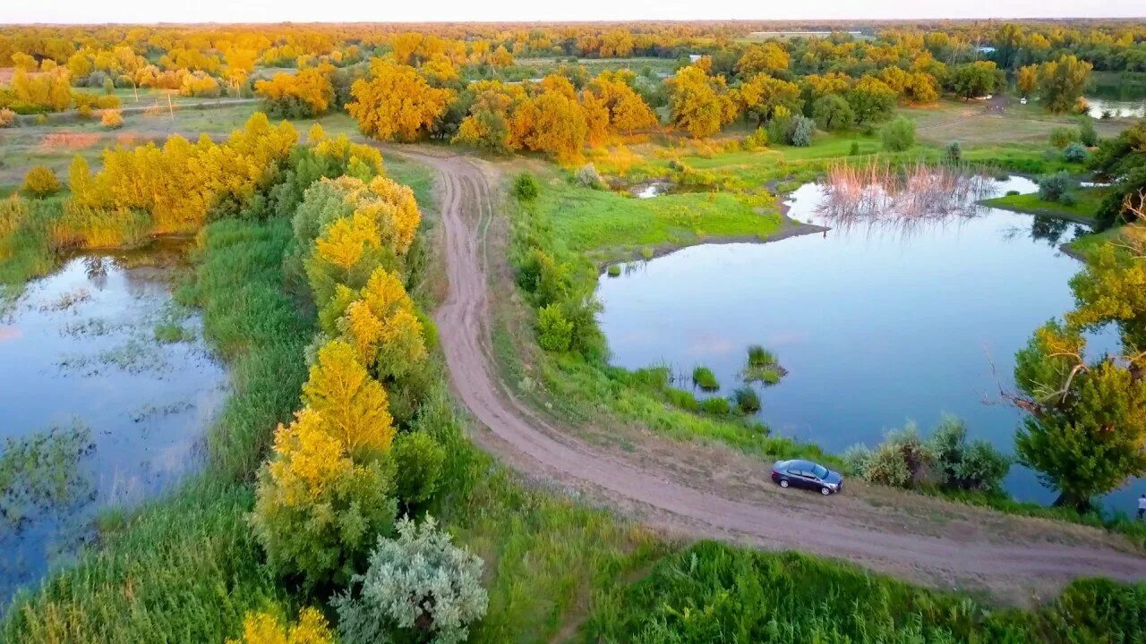 Природа волго ахтубинской поймы. Растительный мир реки. Астраханский заповедник пеликан. Животные поймы реки. Заповедник астрахань дельта.