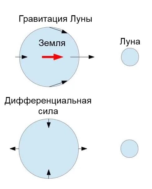 Разность притяжения. Тяготение схемы. Приливные силы Луны и земли. Гравитационные силы Луны. Схема Притяжение Луны.