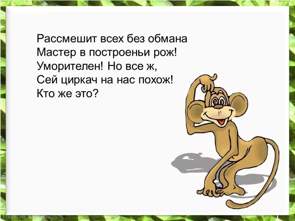 Тема текста про обезьянку. Загадка. Загадка про обезьяну. Загадка про обезьяну для детей. Загадка про мартышку.