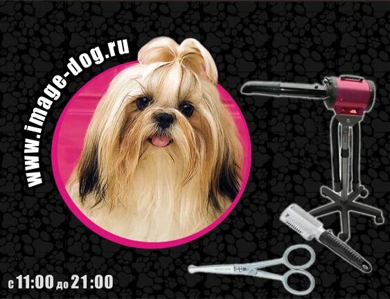 грумер воронеж. парикмахер для животных. стрижка китайской хохлатой. выставочный груминг кошек и собак. азбука груминга стрижка собак.