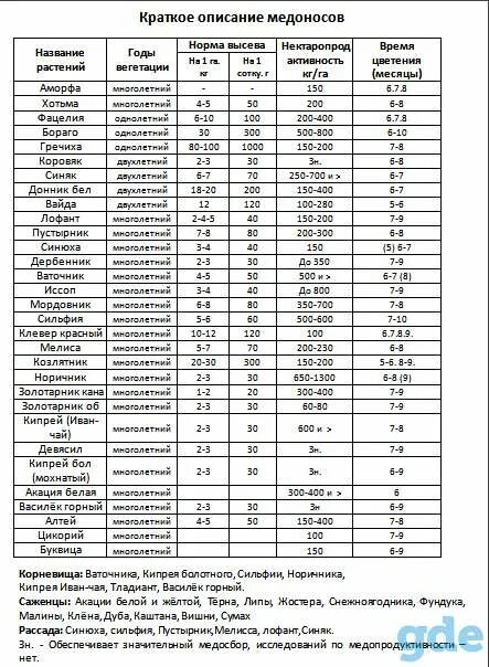 Норма высева семян горчицы на 1 гектар. Норма высева медоносных трав. Сроки цветения медоносов. Нормы посева медоносов. Расход семян на сотку